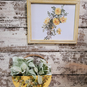 Framed Roses